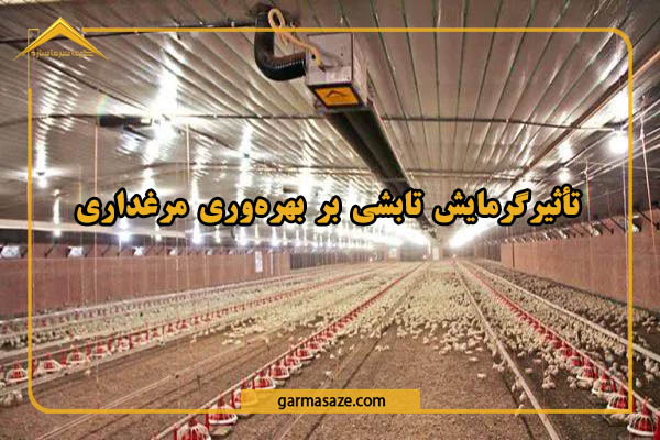 تأثیر گرمایش تابشی بر بهره‌وری مرغداری